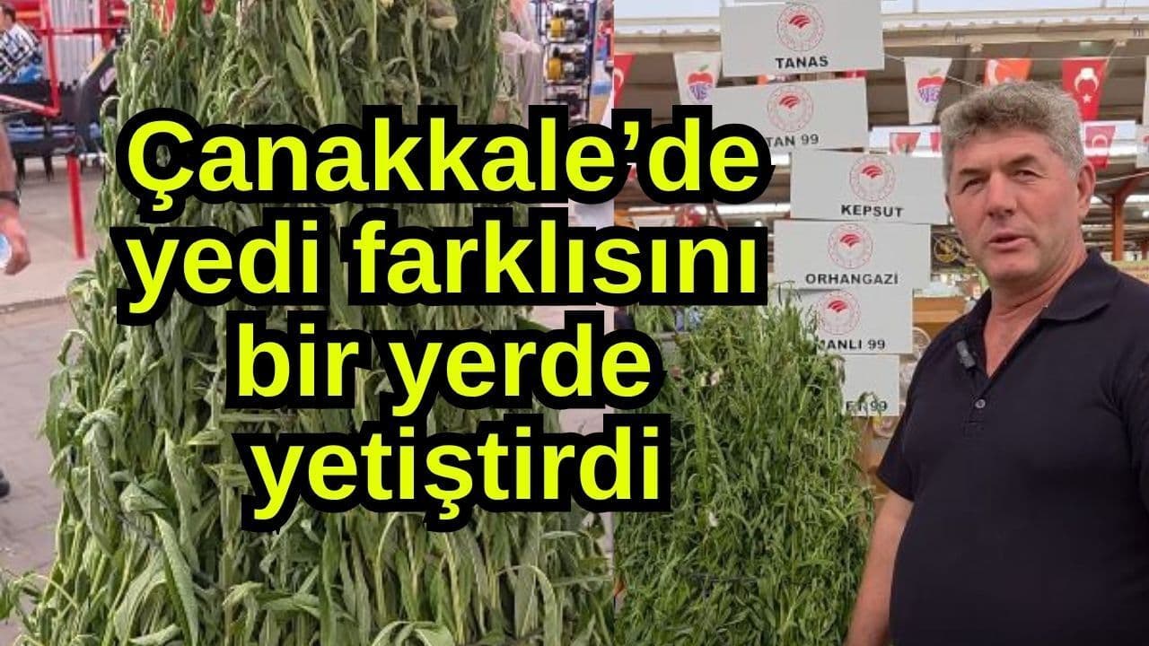 Çanakkale’de yedi farklısını bir yerde yetiştirdi