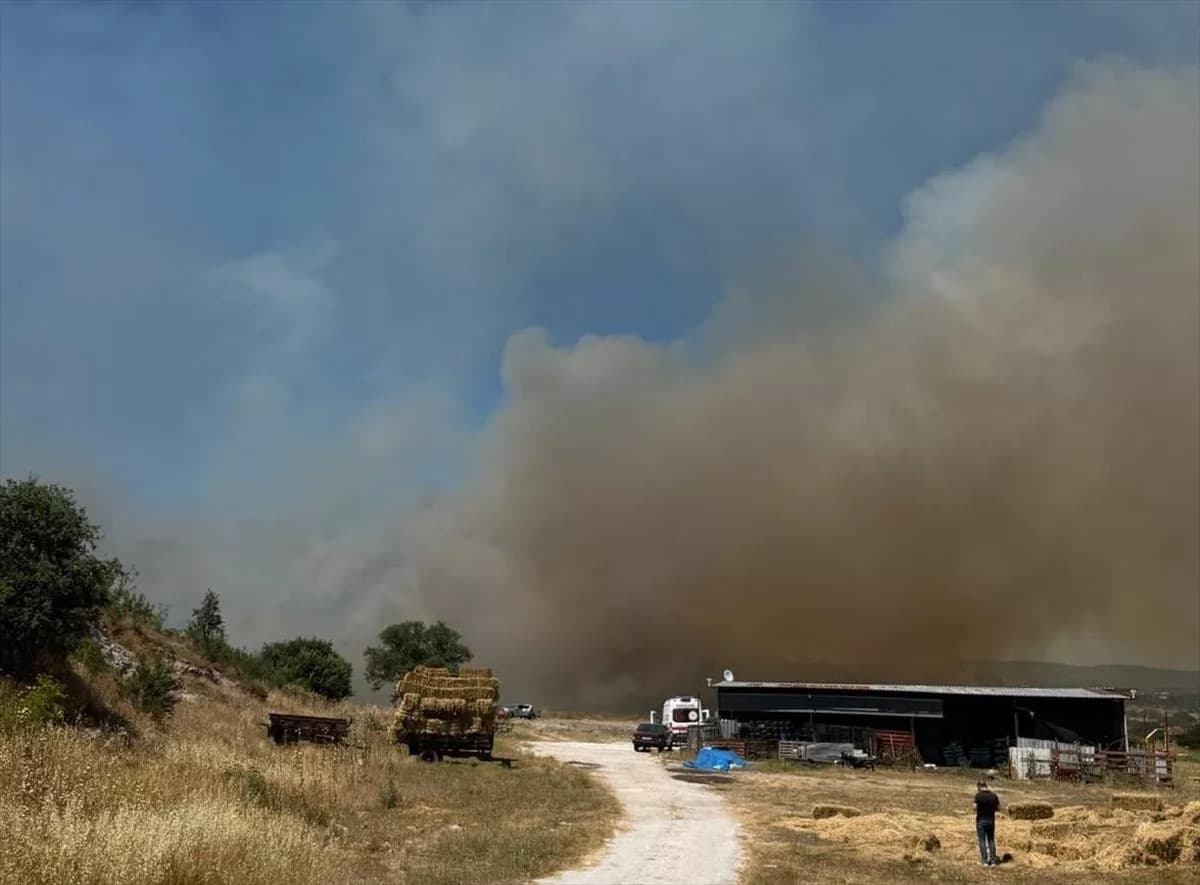 Çanakkale'nin Ezine İlçesinde Orman Yangını Söndürüldü