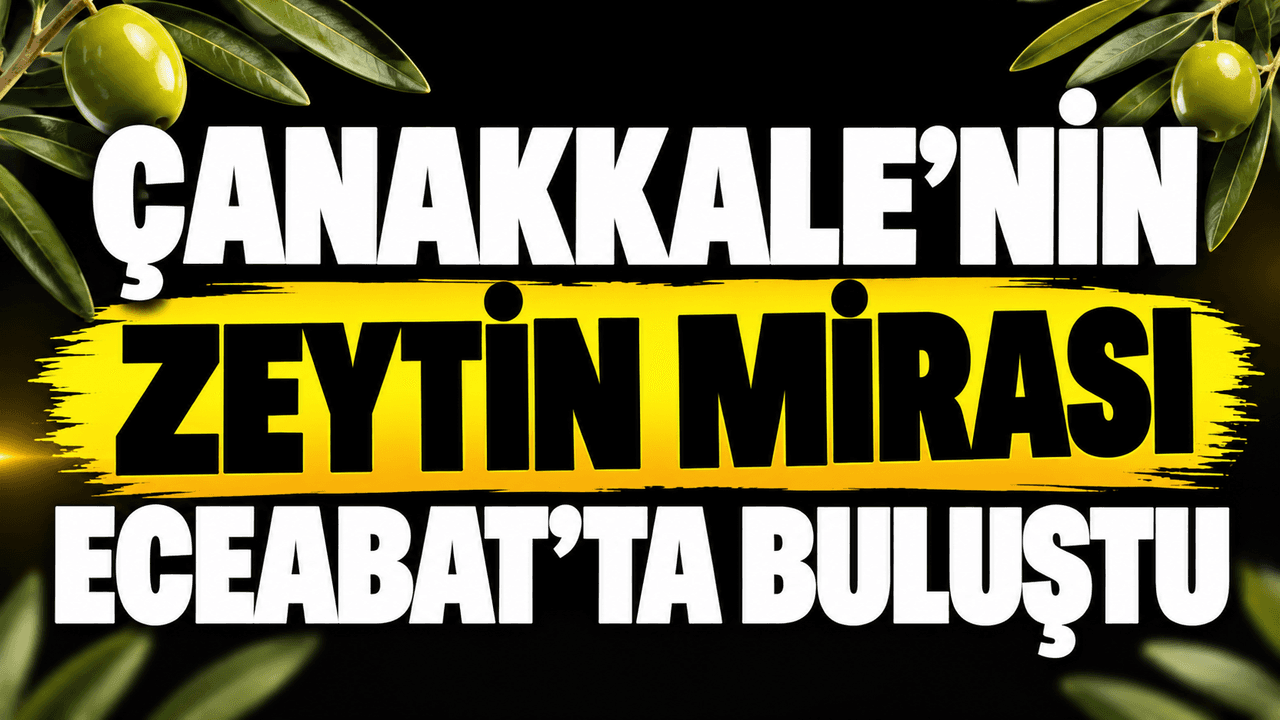Eceabat'ta Zeytin Mirası Buluşması: 2. Zeytinyağı Festivali ve Hasat Şenliği