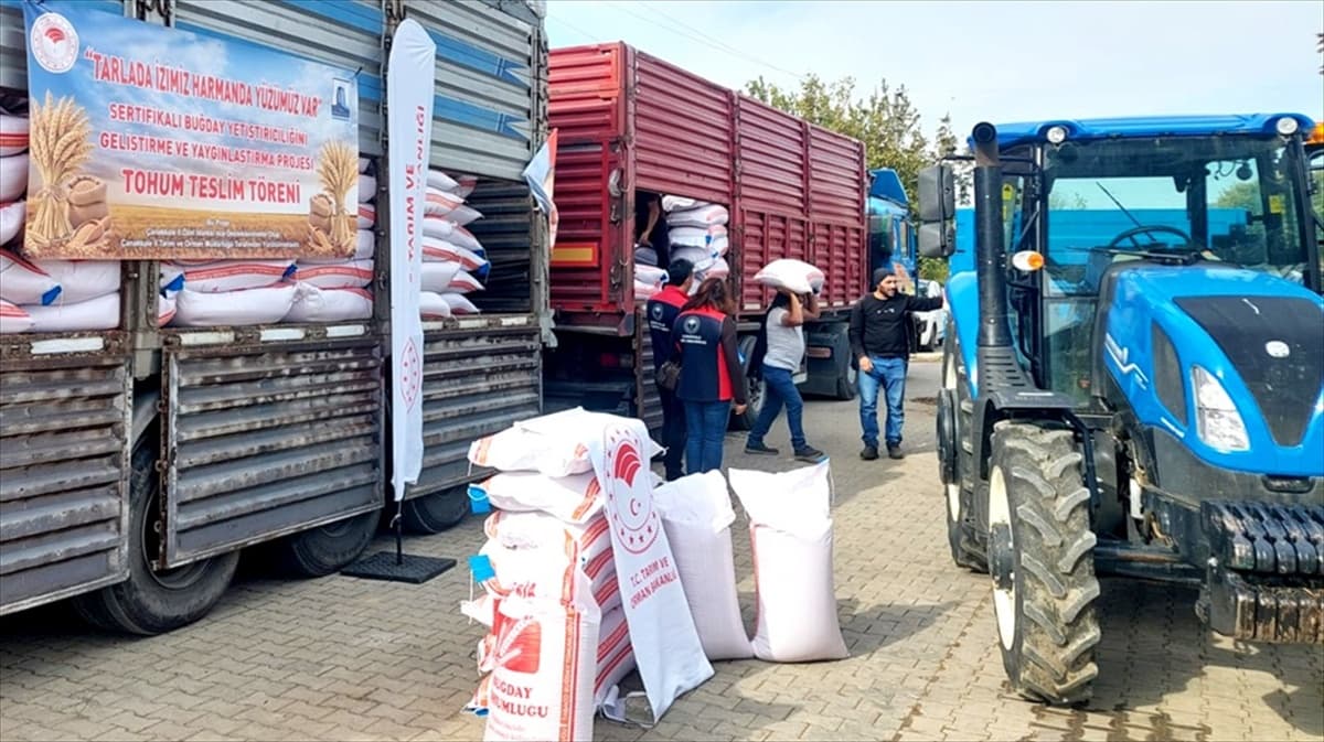 Gelibolu’da 52 Çiftçiye %50 Hibeli 61 Ton Sertifikalı Buğday Tohumu Dağıtıldı