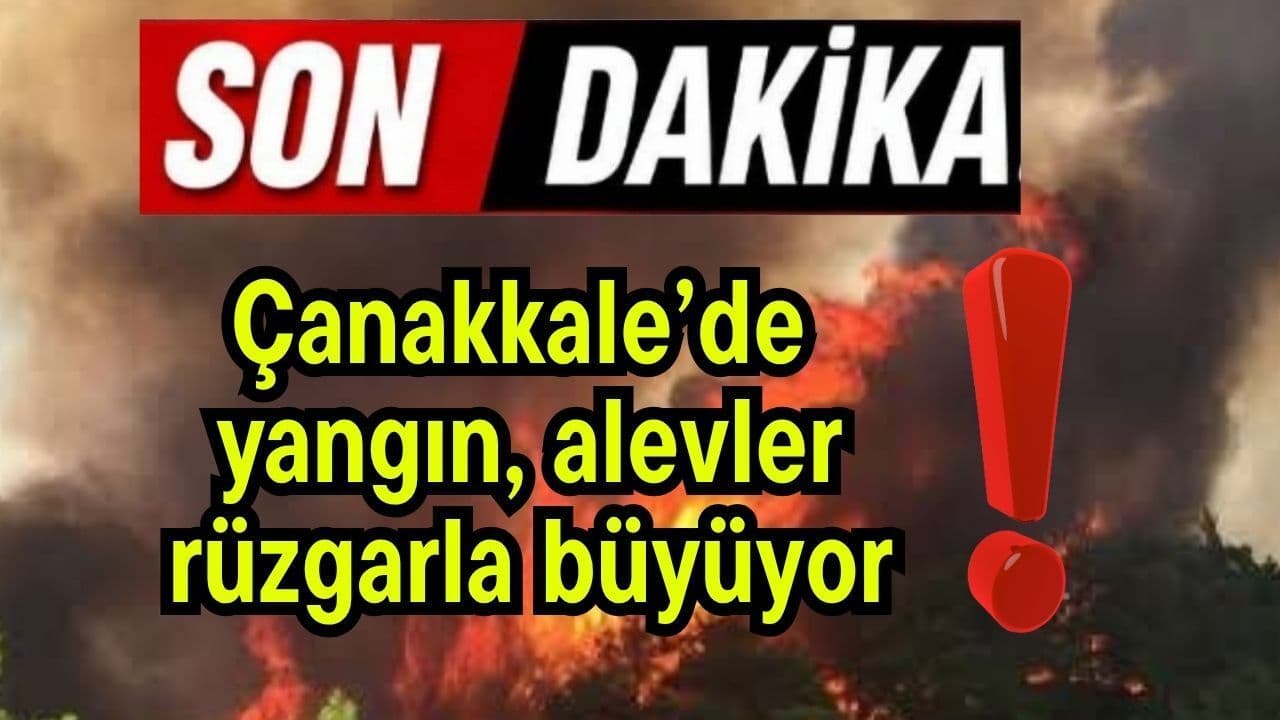 Çanakkale’de yangın, alevler rüzgarla büyüyor!