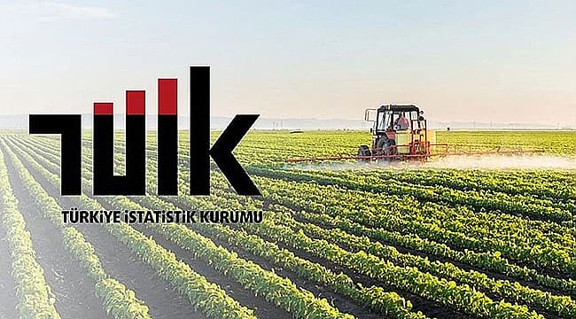 Çanakkale'de 2026 Eylül Tarım-ÜFE Raporu: Fiyat Dalgalanmaları Açıklandı