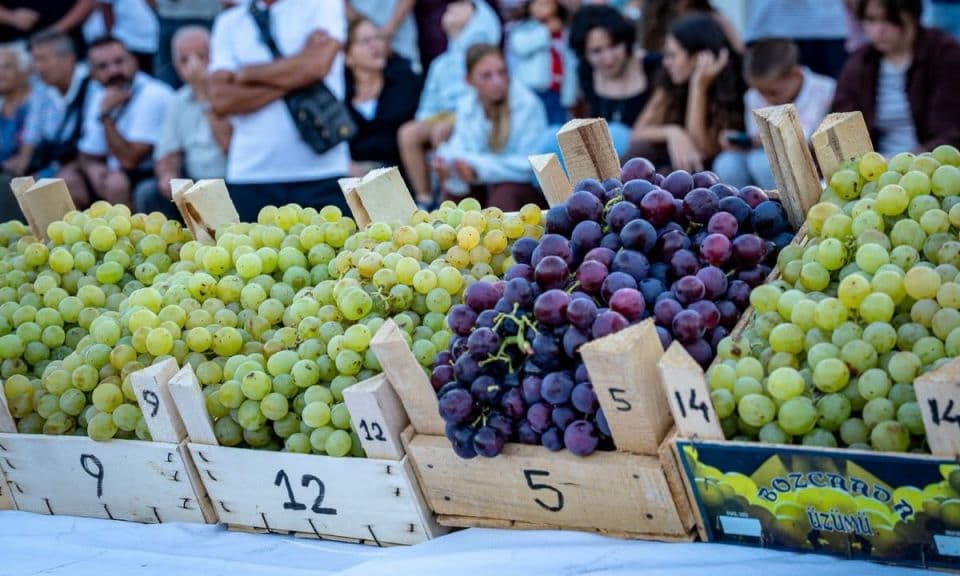 Bozcaada Bağbozumu Festivali'nin 26. Yılı Coşkusu