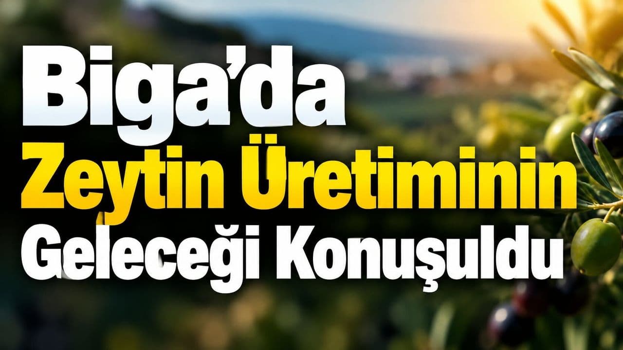 Biga’da Zeytin Üreticileri Kooperatifleşme Yolculuğuna Adım Attı