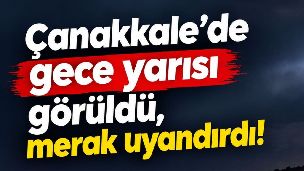 Biga’da Gece Yarısı Yılan Görüşmesi Halkı Meraklandırdı