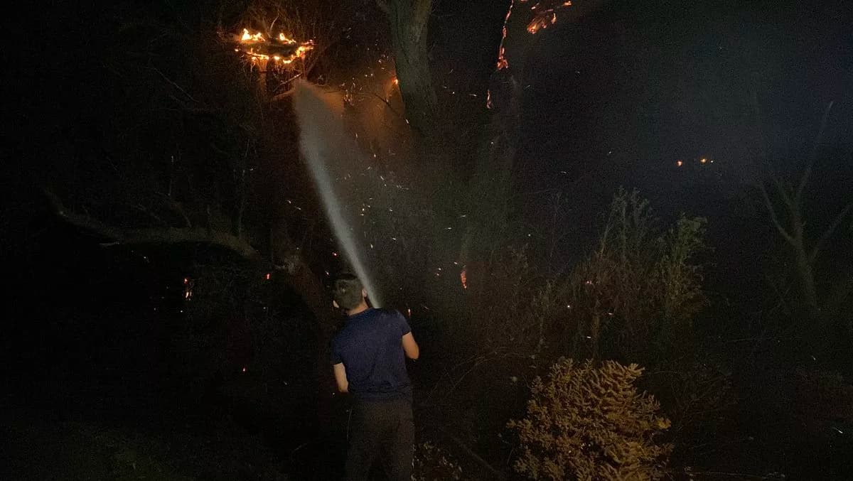 Çanakkale'de Orman Yangınına Hızlı Müdahale
