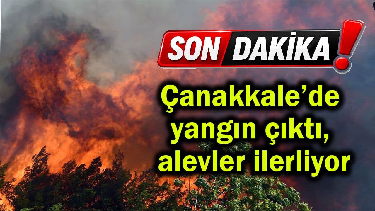 Çanakkale’de yangın çıktı, alevler ilerliyor