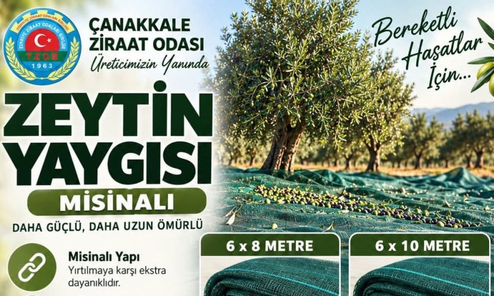 Çanakkale Ziraat Odası’ndan zeytin üreticilerine hasat desteği