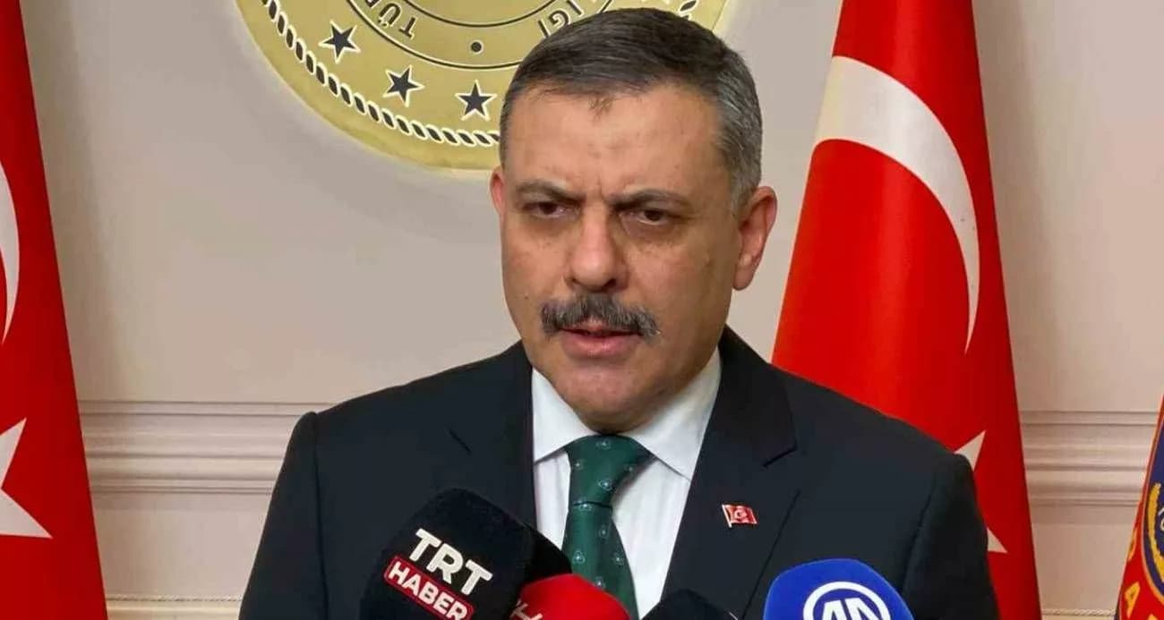 İçişleri Bakanı Çiftçi: Yılbaşına Kadar Sokak Köpeklerini Barınaklara Toplatacağım