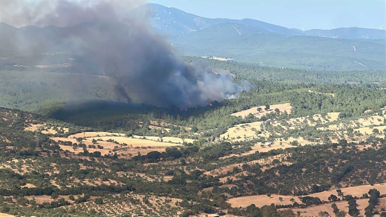 Alevler Çanakkale’yi sardı! Orman yangınında son vaziyet