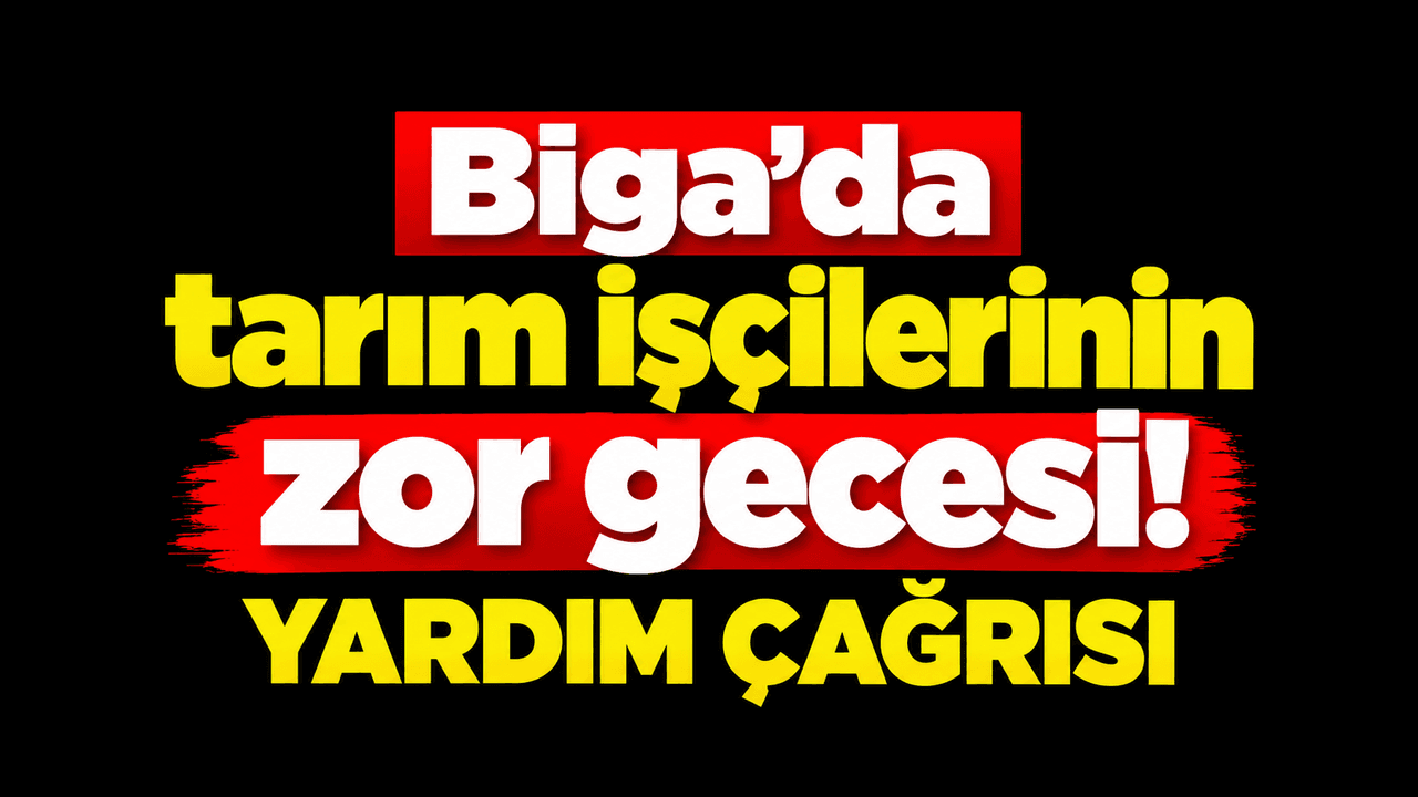 Tarımsal üretim işçilerinin meşakkatli gecesi! Yardım çağrısı Biga’da