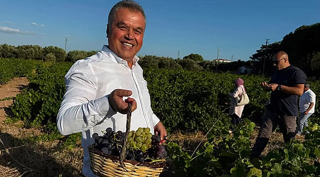 Bozcaada Bağbozumu Festivali'ne Büyük İlgi