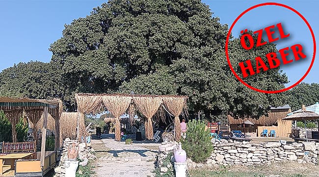 YAZ AYINDA BU YASAK KİME!