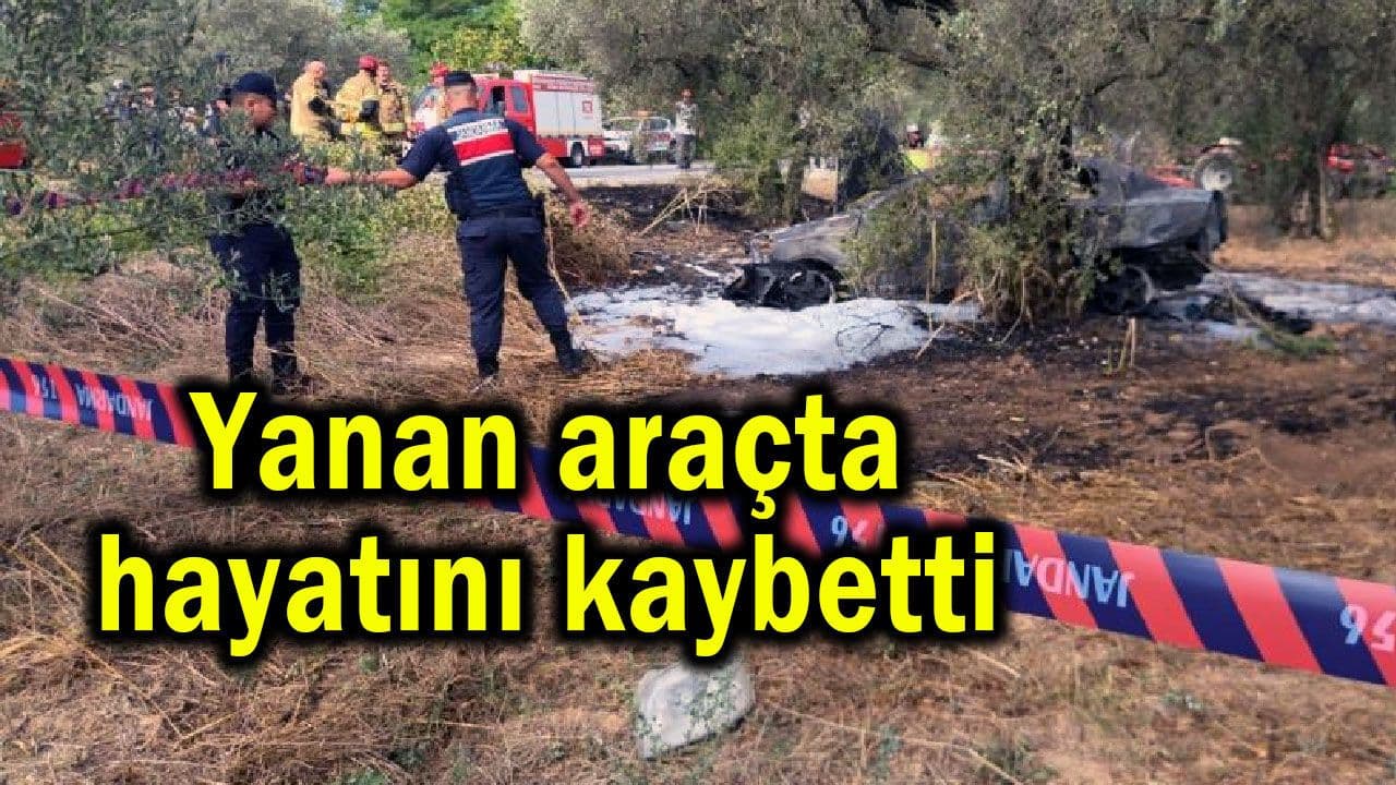 Bursa-İznik Yolunda Yaşanan Kaza: 73 Yaşındaki Kişi Hayatını Kaybetti