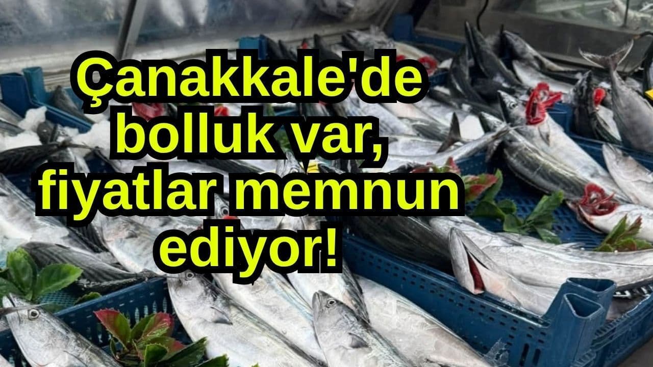 Çanakkale Balıkhanesi’nde Balık Bolluğu ve Uygun Fiyatlar Memnuniyet Yaratıyor
