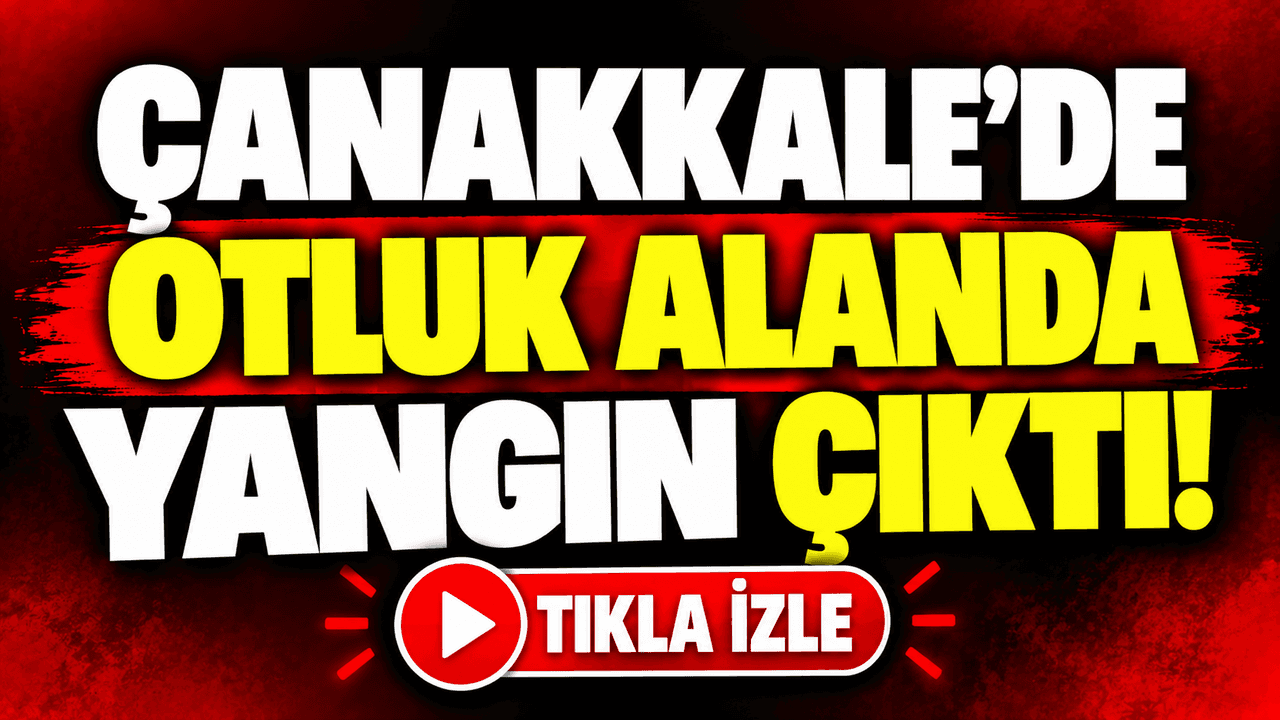 Çanakkale'de otluk alanda yangın çıktı!