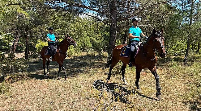 ÇANAKKALE JANDARMASINDAN YANGINLARA KARŞI YOĞUN MÜCADELE