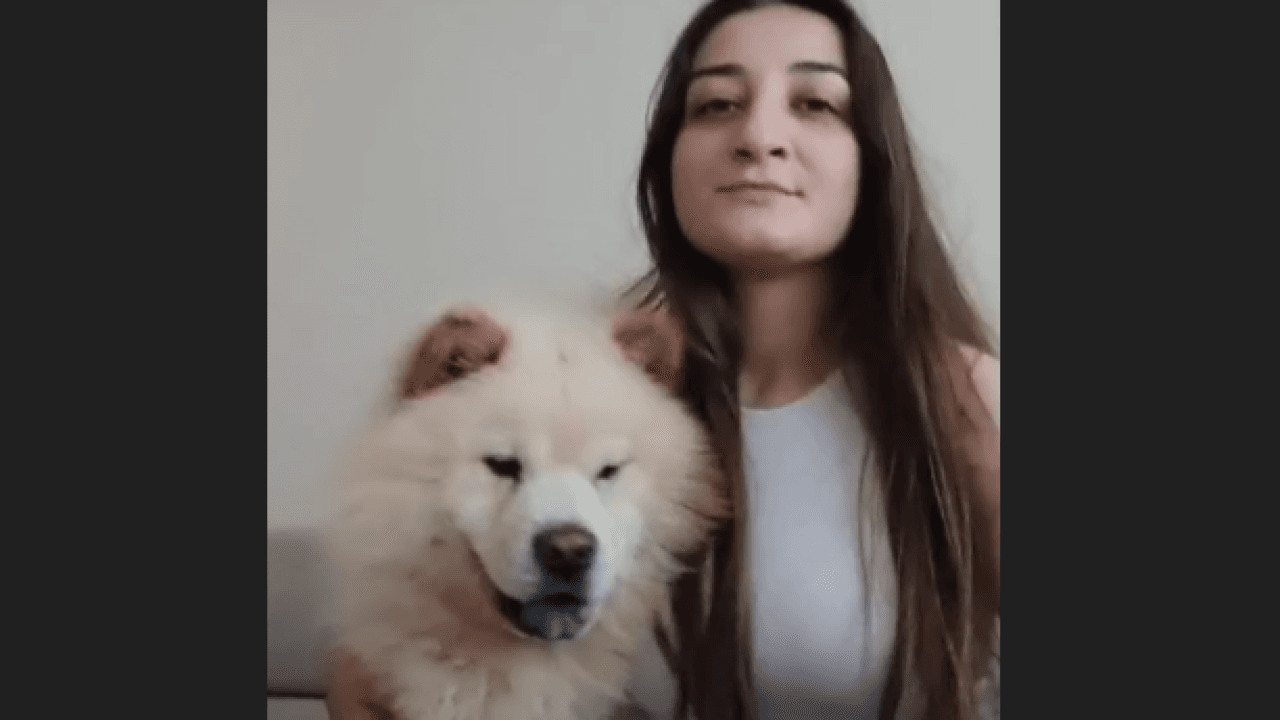 Sahipli Köpek Rio Uyuşturucu İğneyle Barınağa Götürüldü İddiası: Ailesi Yetkililerden Açıklama İstiyor