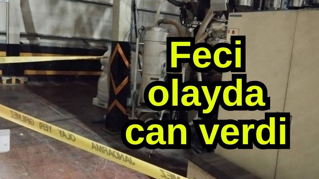 Feci vakada can verdi