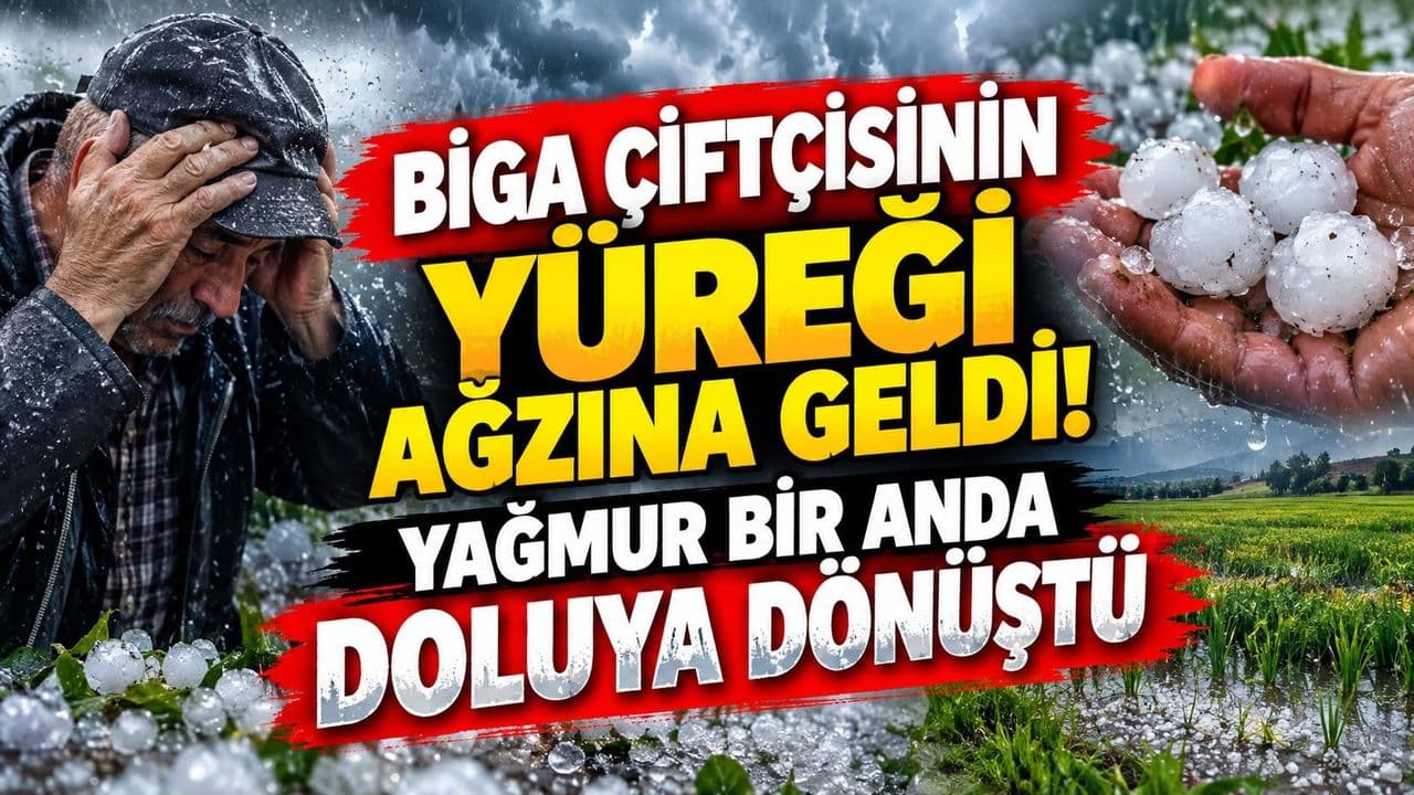 Biga’da Yağmur Aniden Doluya Dönüşü, Çiftçilerin Yüreği Ağzına Geldi