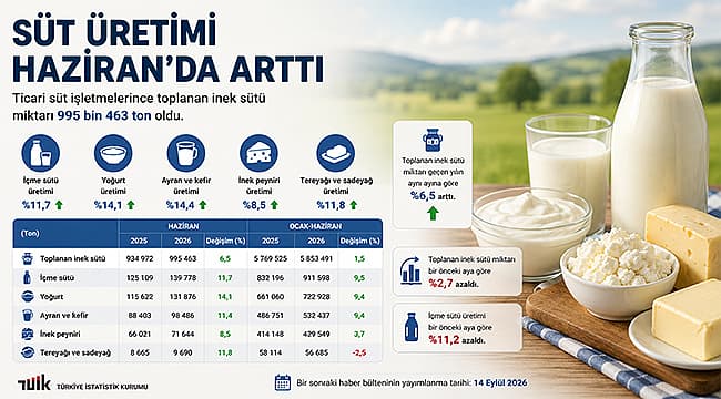 Süt Ürünlerinde Haziran Ayında Gözlemlenen Gelişmeler