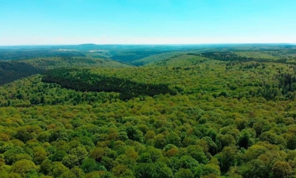 COP31'de ÇOMÜ Öğrencilerine Küresel İklim Zirvesi Deneyimi