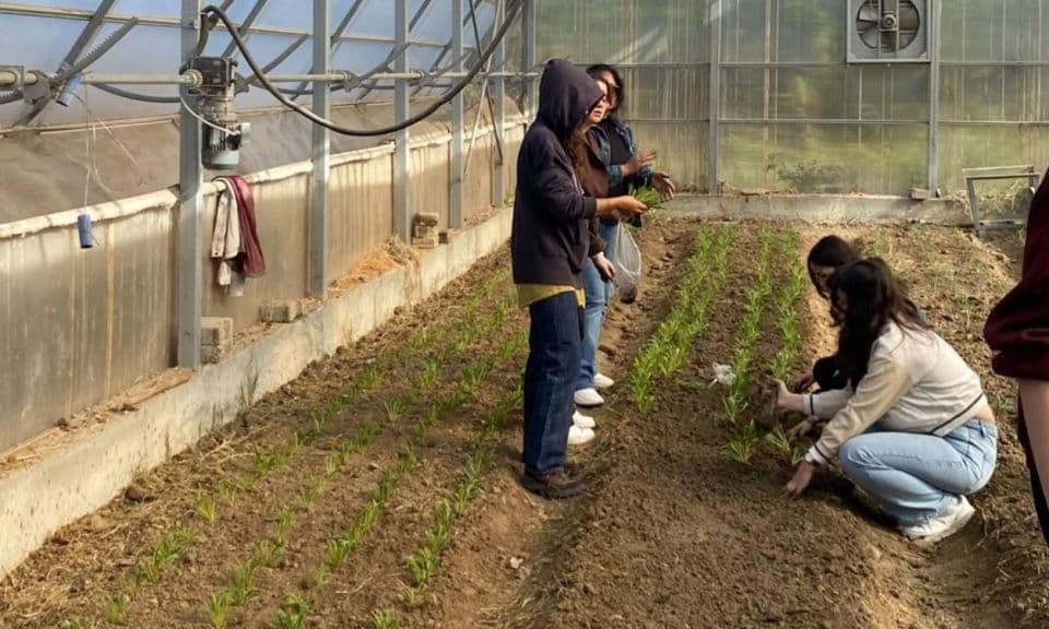 ÇOMÜ'den Cezaevi Seralarına Uzanan Umut Köprüsü: Çanakkale'de Süs Bitkileri Üretimi ve Sosyal Katkı Atağı