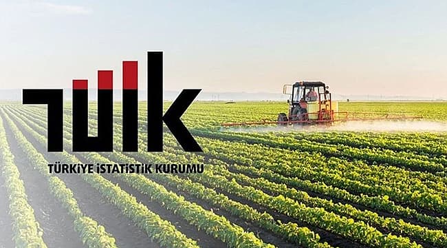 TARIM ÜRÜNLERİ ÜRETİCİ FİYATLARI YILLIK YÜZDE 43 ARTTI