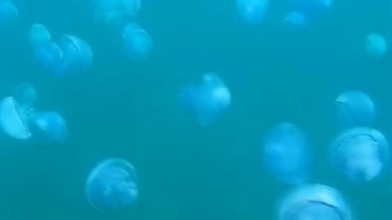 Çanakkale Boğazı’nda Korkutan Manzara! Kameralara Yansıdı