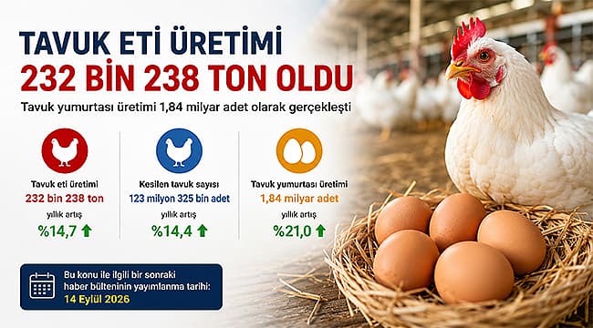 Çanakkale’de Haziran Ayı Tavuk Eti ve Yumurta Üretiminde Önemli Artış