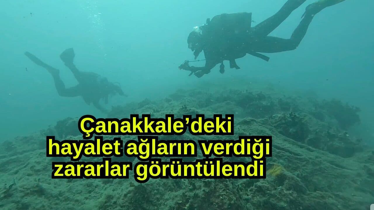 Çanakkale’deki hayalet ağların verdiği zararlar görüntülendi