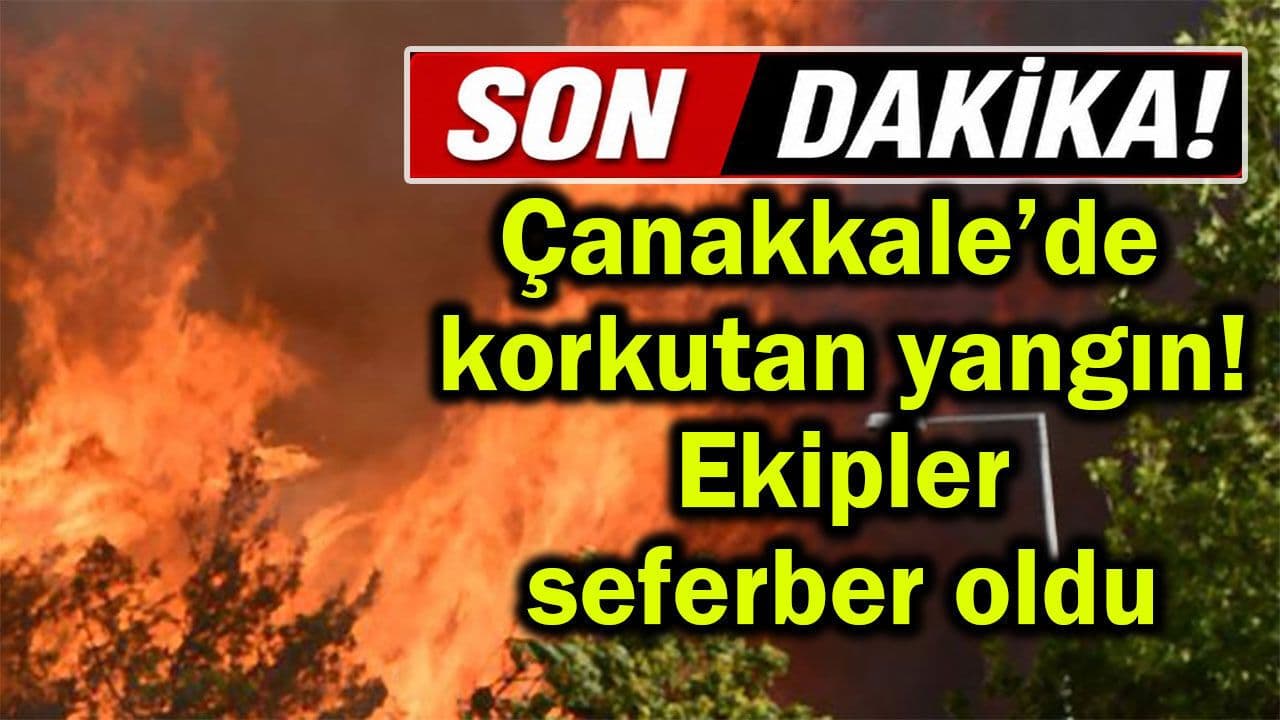 Çanakkale’de korkutan yangın! Ekipler seferber oldu (Video)