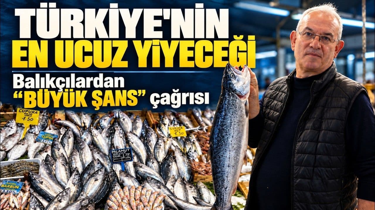 Çanakkale’de Balık Sezonu: Fiyatlar, Tüketim Bilinci ve Balıkçının Uyarıları