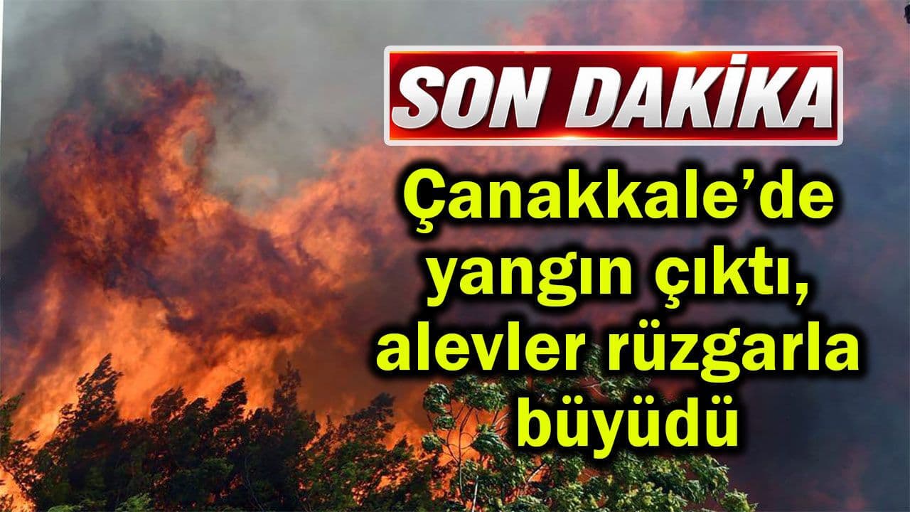 Çanakkale’de Yangın Çıktı: Alevler Rüzgarla Büyüdü