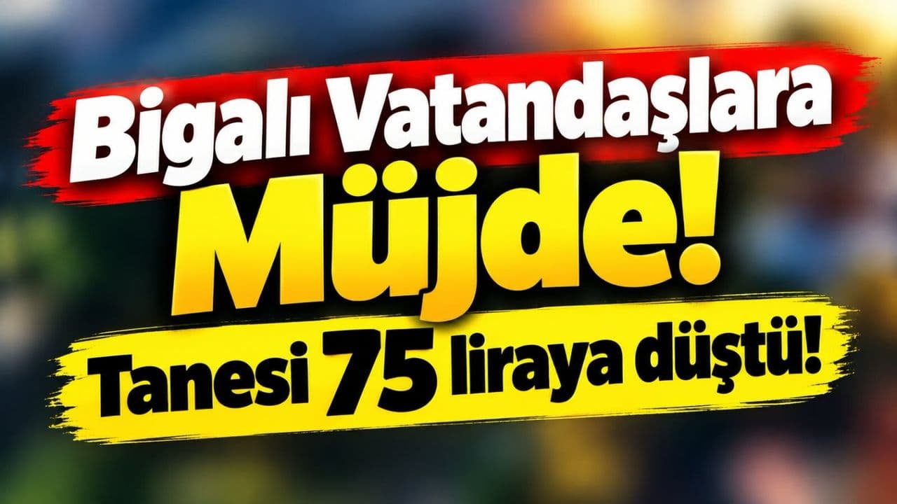 Biga’da Palamut Fiyatları 75 TL’ye Düştü: Çanakkale Halkı Sevindi