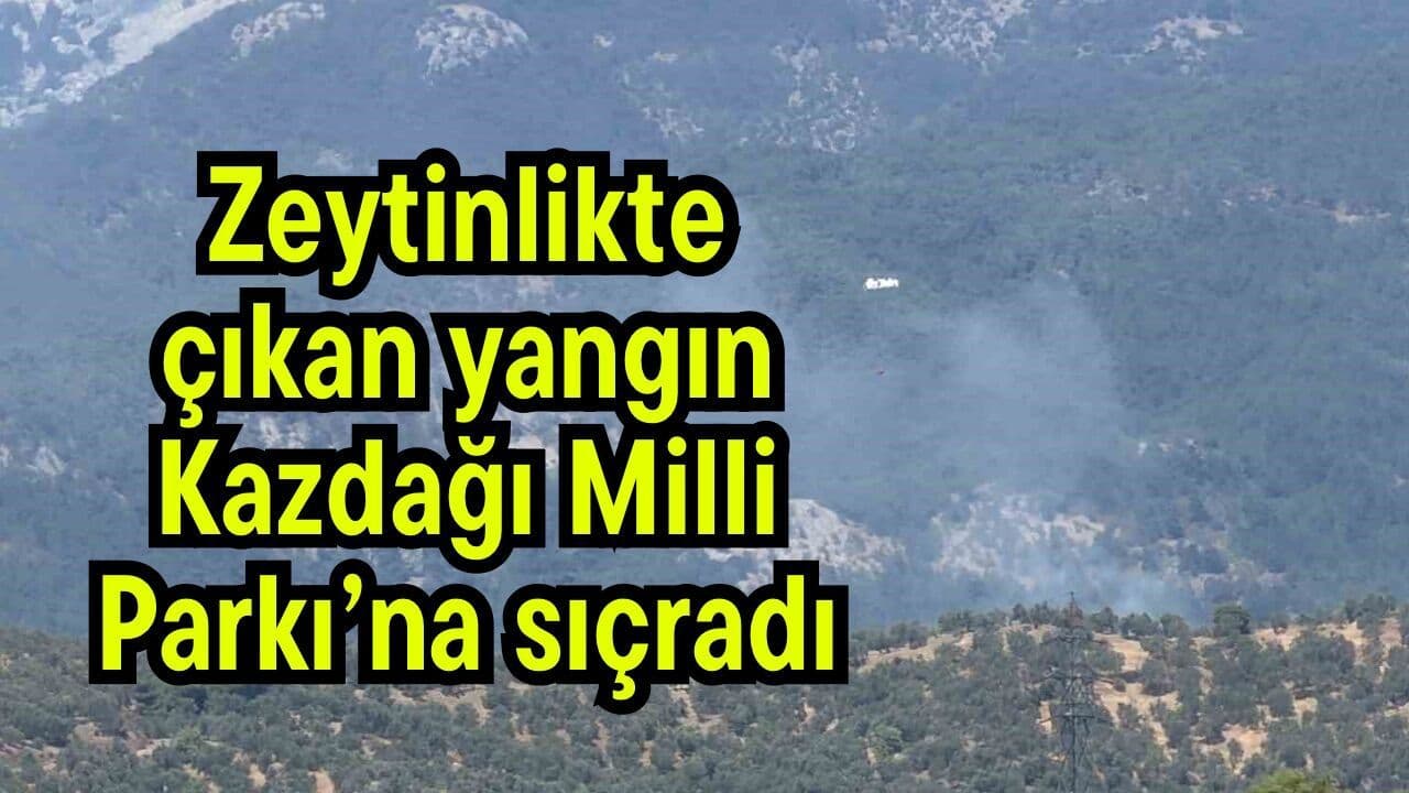 Zeytinlikte çıkan yangın Kazdağı Milli Parkı’na sıçradı