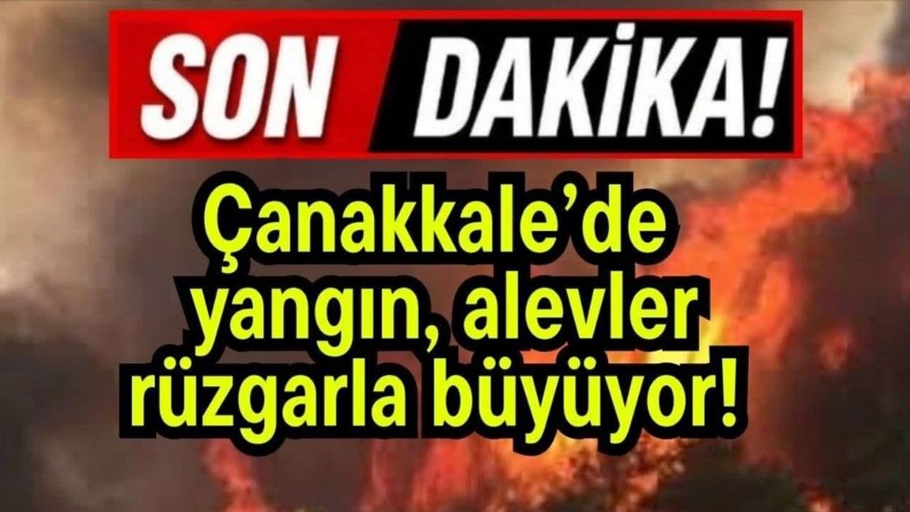 Çanakkale'de yangın! Alevler rüzgarla büyüyor