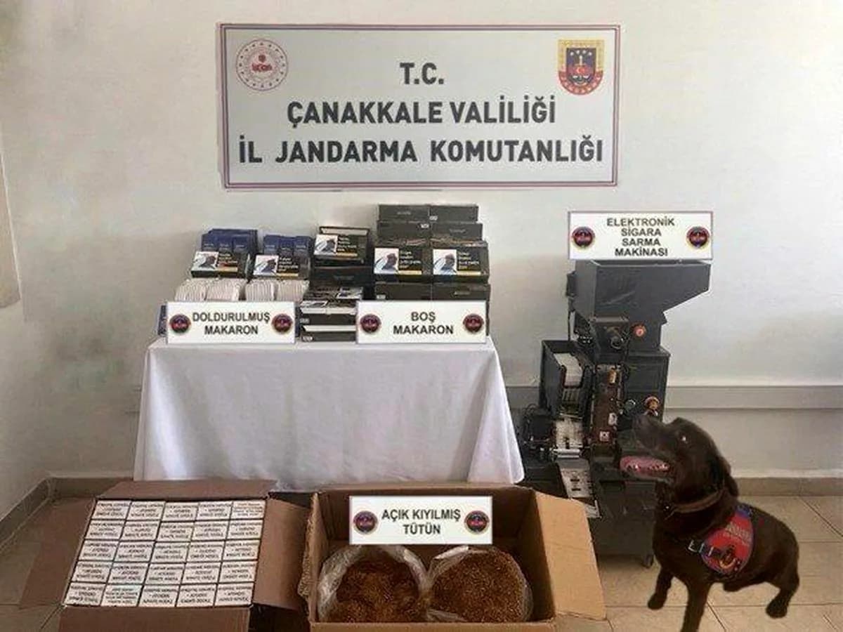 Çanakkale'de Kaçakçılık Operasyonu
