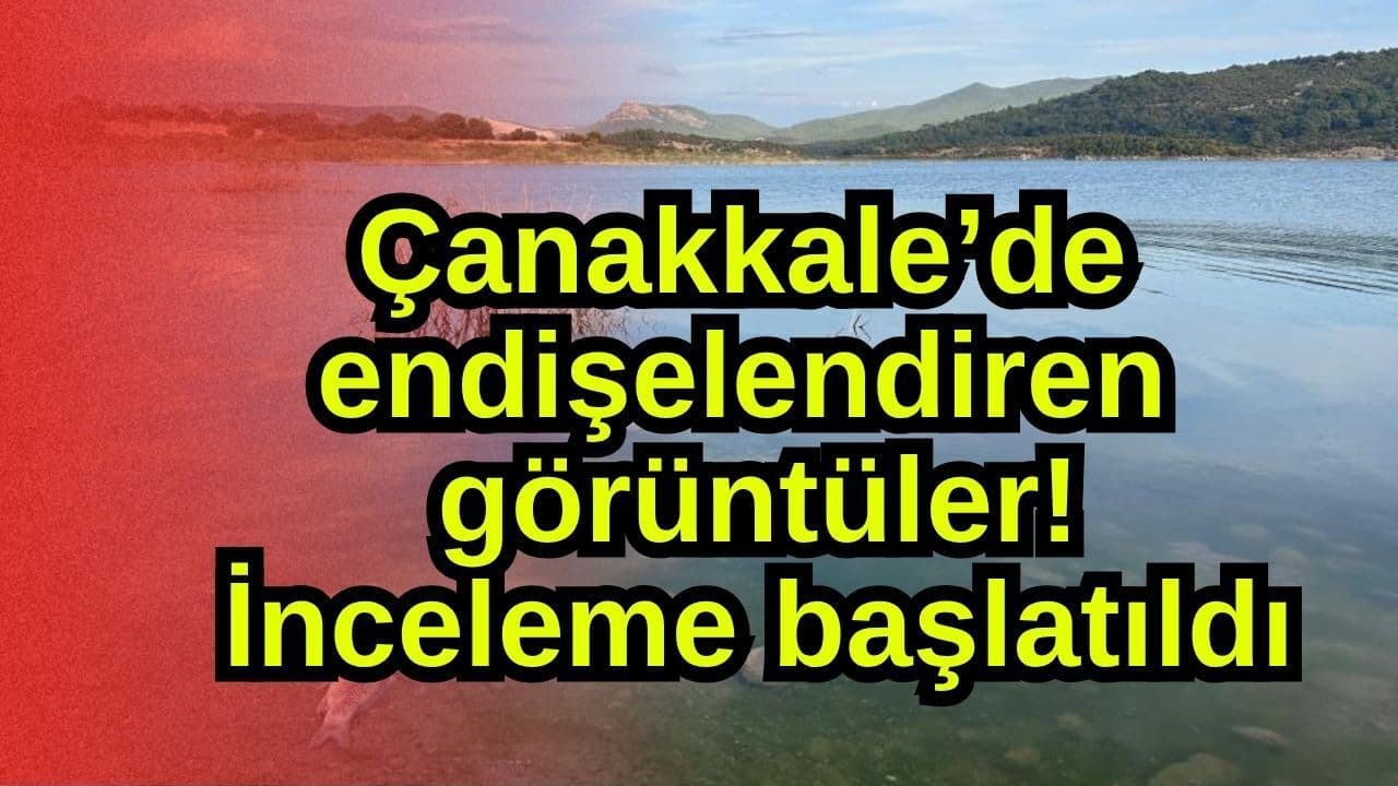 Ayvacık Barajı'nda Balık Ölümleri: İnceleme Başlatıldı