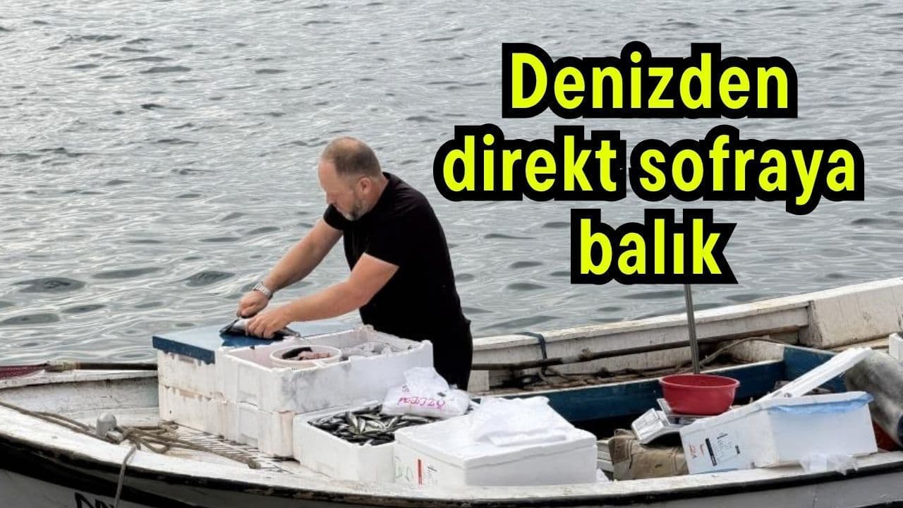 Denizden direkt sofraya balık