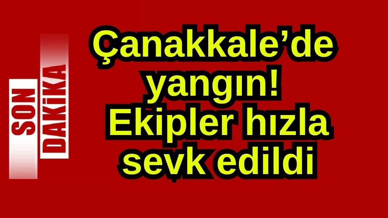 Yangın! Ekipler hızlı bir şekilde yönlendirildi Çanakkale'de