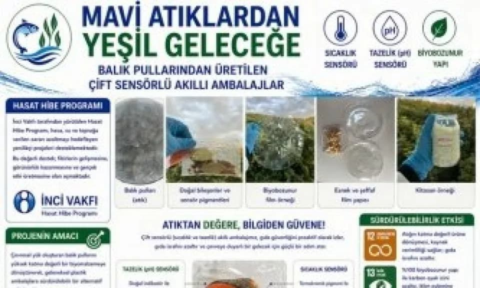 Çanakkale'de Çevreci Atılım: Balık Pulları Akıllı Ambalaja Dönüşüyor