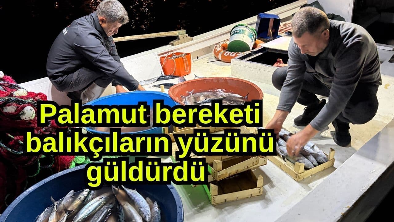 Palamut Sezonu Kıyıköy’de Bereketli: Çanakkale Balıkçıları Neşelendi