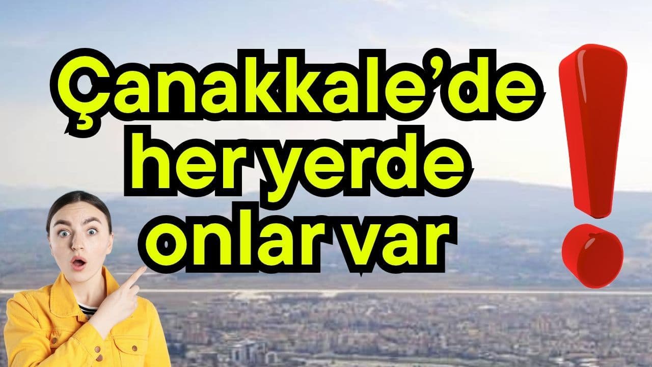 Çanakkale’de her yerde onlar var!