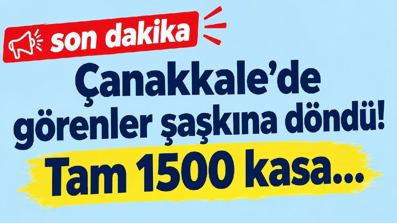 Görenler şaşkına döndü! Tam 1500 kasa Çanakkale’de