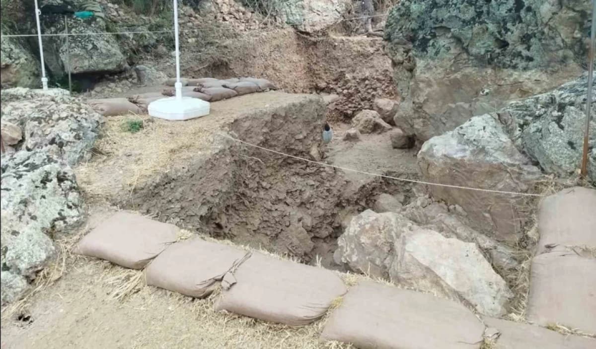Çanakkale’de 86 Bin Yıllık Sır DNA ile Çözülecek