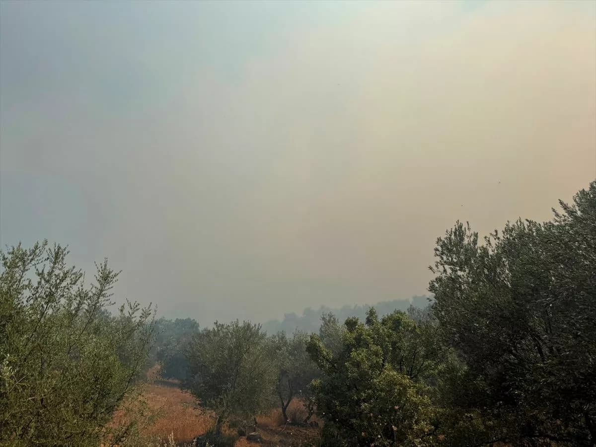 Çanakkale Ayvacık'ta Orman Yangını Kontrol Altına Alınıyor