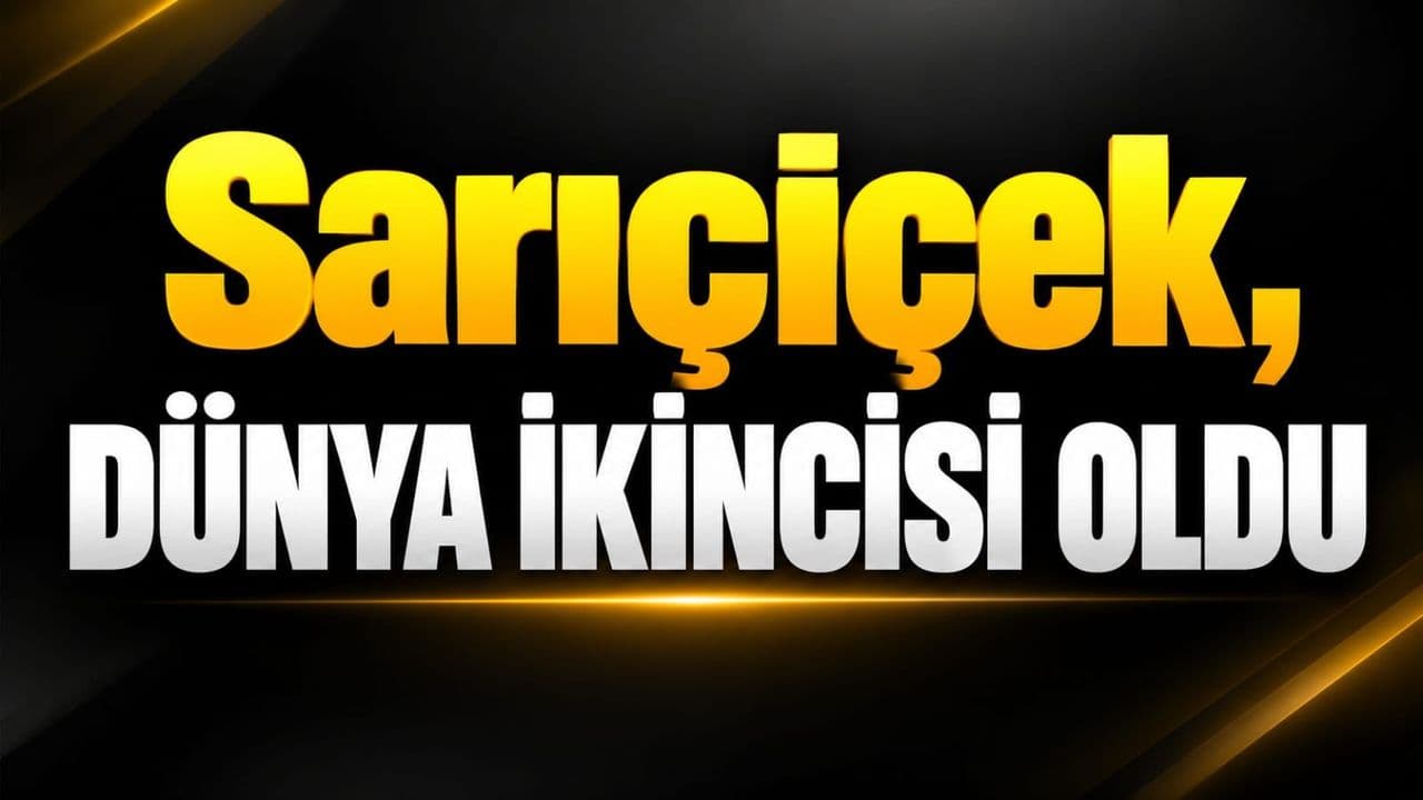 Sarıçiçek, dünya ikincisi oldu