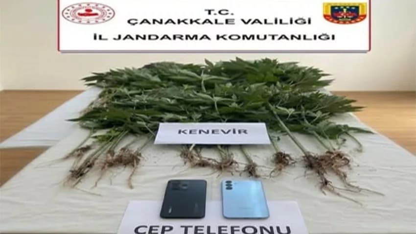 Jandarmadan 7 İlçede Narkotik ve Kaçakçılık Operasyonu