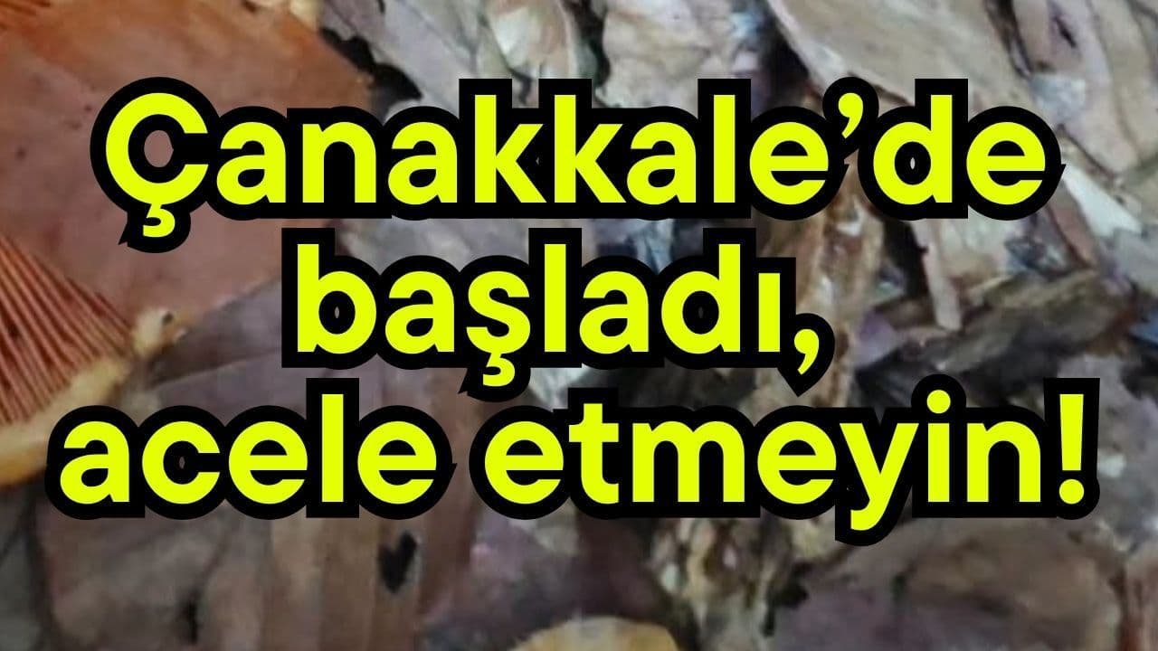 Çanakkale’de hayata geçti, acele etmeyin!